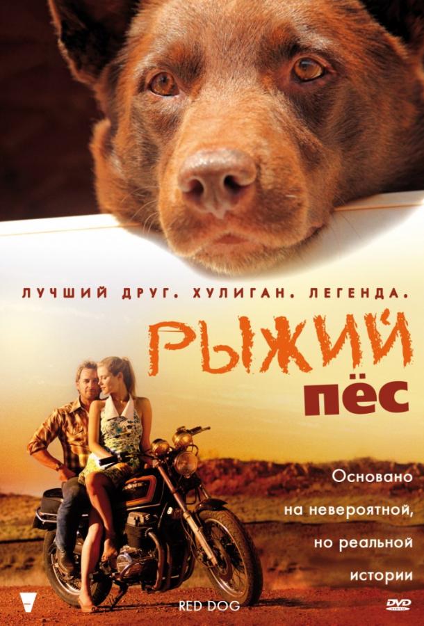 Фильм Рыжий пес 2011 года смотреть онлайн с актёрами Роэн Николь и Джош Лукас